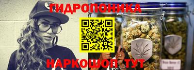 индика Заволжье