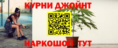 индика Заволжье