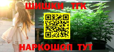 индика Заволжье