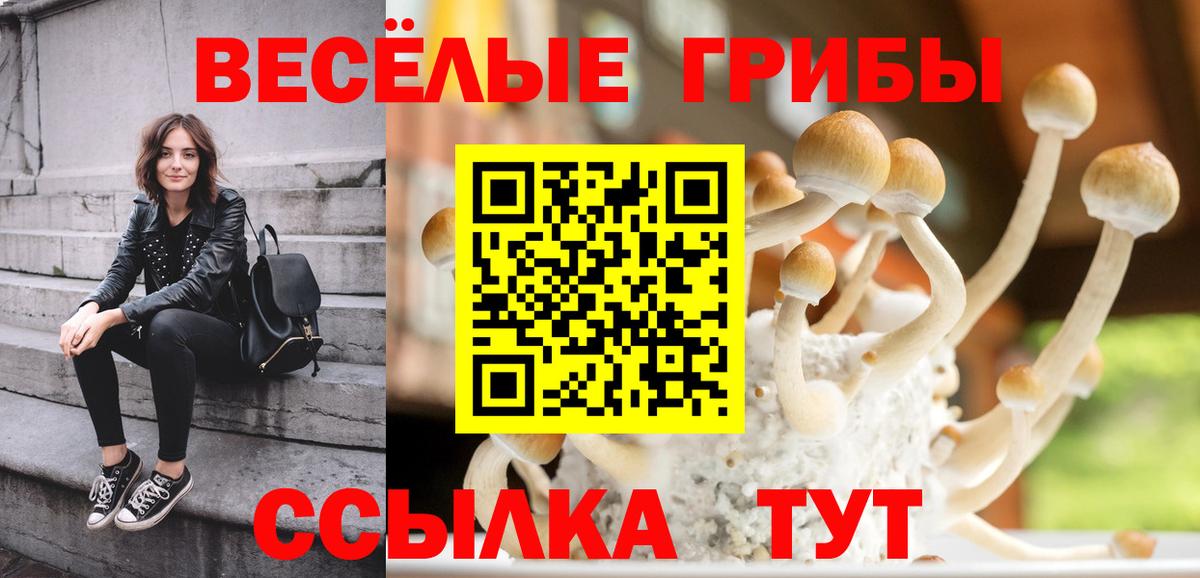 Ипатово  где найти наркотики  Псилоцибиновые грибы мицелий  Вход с VPN  Псилоцибиновые грибы Psilocybe 