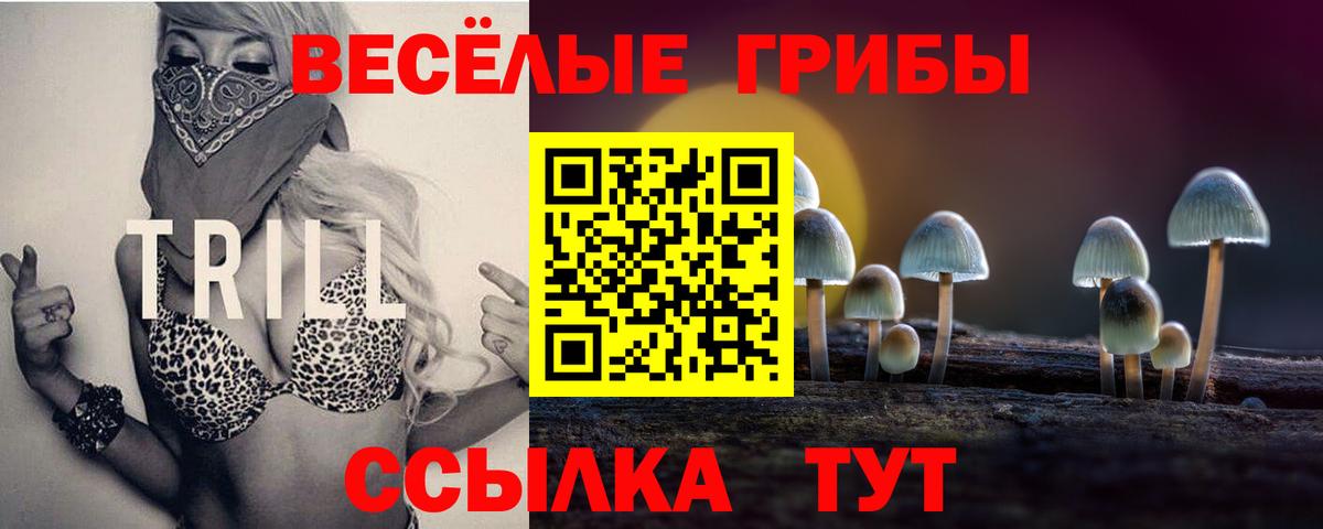 Псилоцибиновые грибы Psilocybine cubensis Ипатово